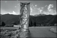 『窓ぎわのトットちゃん』の楽園で、「徒歩の旅」の先人に出会う