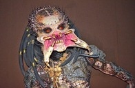 【クイズ】プレデターが、獲物から「戦利品」として持ち去るのは何？