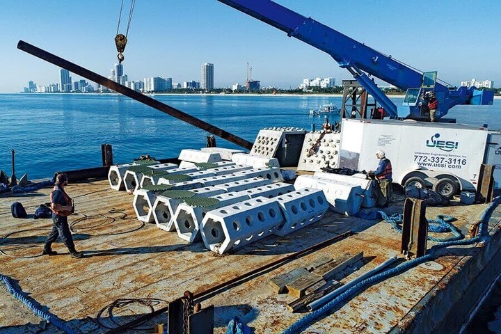 暴風雨対策の「シーハイブ」