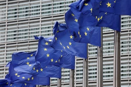 　９月２日、欧州連合（ＥＵ）欧州委員会が発表した加盟２７カ国の住民に対する世論調査で、５６％がＥＵ加盟国の拡大を支持すると答えた。写真はＥＵの旗。７月、ブリュッセルで撮影（２０２５年　ロイター/Yves Herman）