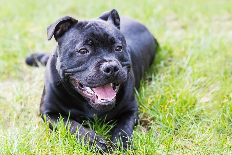 （写真はイメージです）　CBCK-Christine-iStock