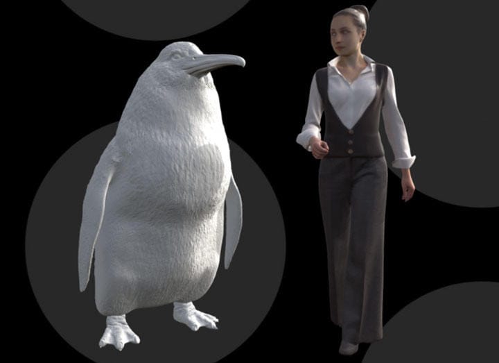 発見された新種のペンギンの身長はヒトの成人の背丈ほどもあった　Canterbury Museum