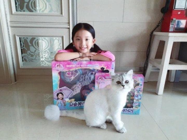 炎上してしまった人気子役のグ・サランとペットのルイ。YTN news / facebook