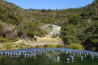 草間彌生の水玉と「私」の呪縛からの解放──永遠の闘い、愛、生きること（2）