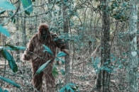 「未確認生物」の活動が活発化？ 遭遇報告の異常な急増ぶりに全米が注目