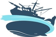 【動画】初めて撮影された、クジラの体当たり