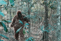 「未確認生物」の活動が活発化？ 遭遇報告の異常な急増ぶりに全米が注目