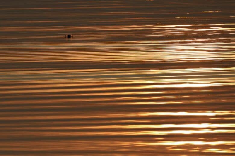 写真は2024年4月、マレーシアのジョージタウン沖、マラッカ海峡で撮影。REUTERS/Hasnoor Hussain
