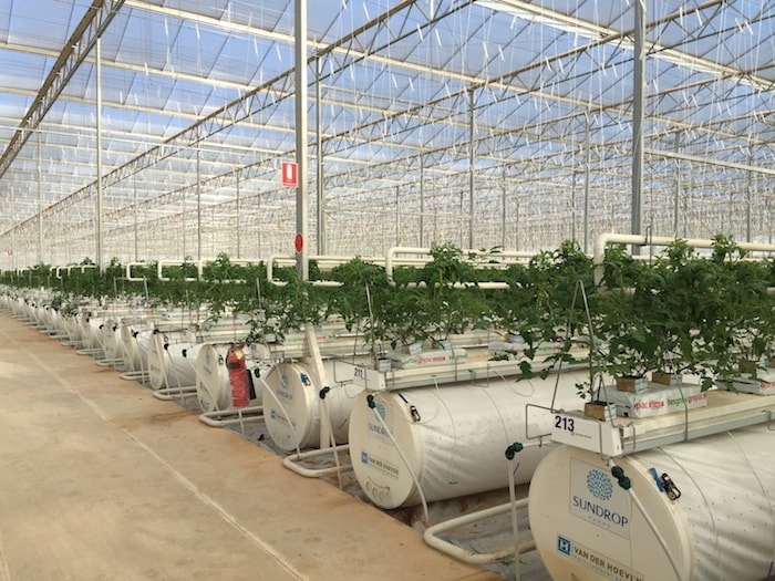 Copyright 2016 Sundrop Farms Ltd