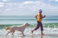 「1日1万歩」より効く!?　海外SNSで話題、日本発・新ウォーキング法「インターバル速歩」の驚きの効果とは