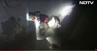 【動画】缶ビールを両手でしっかり握って、ぐびぐび飲むインドのサル
