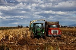 中国、年170億ドル超の米国産農産物購入へ＝ホワイトハウス