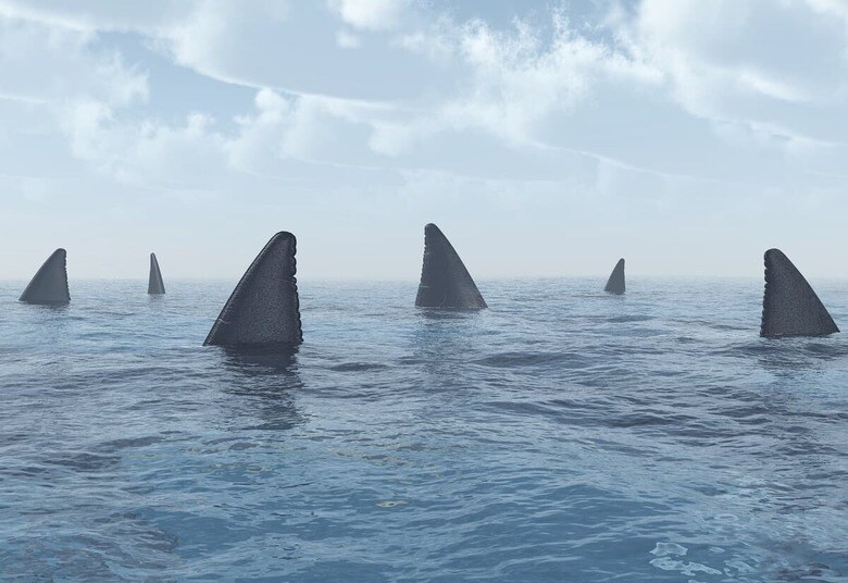 （写真はイメージです）　MR1805-iStock