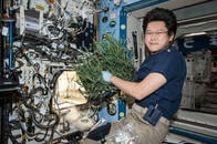 宇宙飛行士が語る「宇宙日本食」体験──宇宙で食料を作る試み