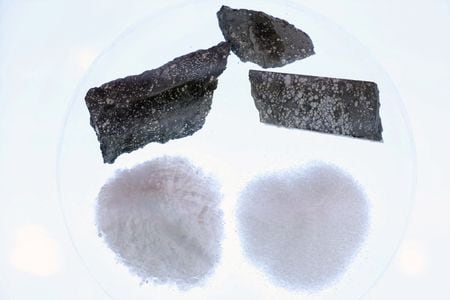 リチウムは２０２６年、エネルギー貯蔵ブームにより需要が拡大し、供給過剰からの反転が加速する可能性がある。資料写真、２０２５年7月(２０２６年　ロイター/Florence Lo)