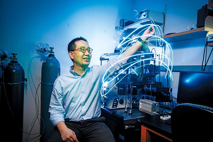 光を送り込んでスパイ活動させるようなものだとキムは言う　Wilmot Cancer Institute/University of Rochester Medical Center