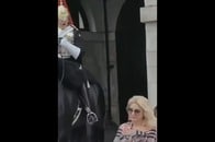 【動画】近衛兵の馬の手綱に触れ、大声で注意されてしまう女性観光客