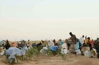 数百人を殺害、集団強姦の証言も...スーダン内戦、国軍最後の拠点ファシェルが陥落（ダルフール）