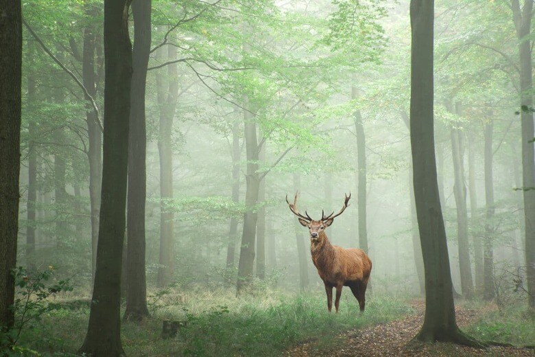 Matt_Gibson-iStock