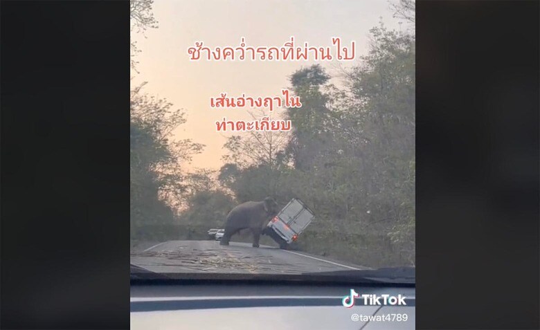 @tawat4789/TikTok