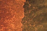 アルゼンチン大規模「山火事」で焼失する農地...「穀物危機」が迫る