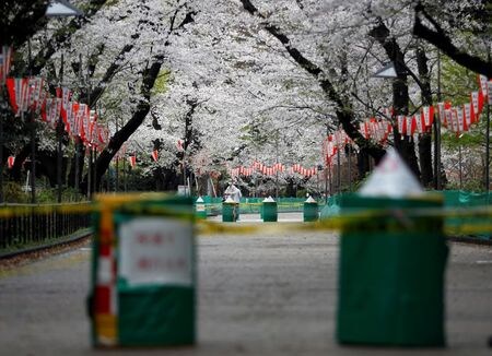 A man wearing a protective face mask, following an outbreak of the coronavirus disease (COVID-19), is seen through a closed cherry blossom viewing spot during the first weekend after Tokyo Governor Yuriko Koike (not pictured) urged Tokyo residents to stay