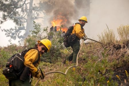 　９月１１日、米カリフォルニア州南部で、３件の森林火災が発生し、山間部の家屋数十軒が焼失。スキーリゾートが被災したほか、ロサンゼルス東方の町や都市で数千人が避難を余儀なくされた。カリフォルニア州ライトウッドで撮影（２０２４年　ロイター/Ringo Chiu）