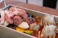 イカやタコも「貝類」に？　アメリカ政府が定義変更、輸出入時の混乱を解消