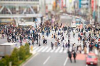 右派と左派の融和に向けた２つの提案