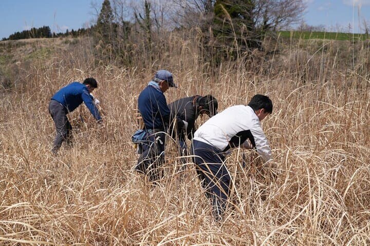 茅刈りイベント