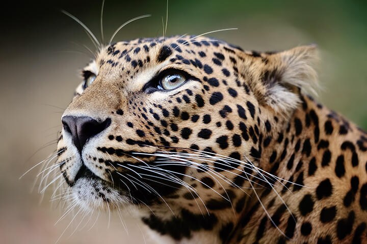 （写真はイメージです）　Freder-iStock