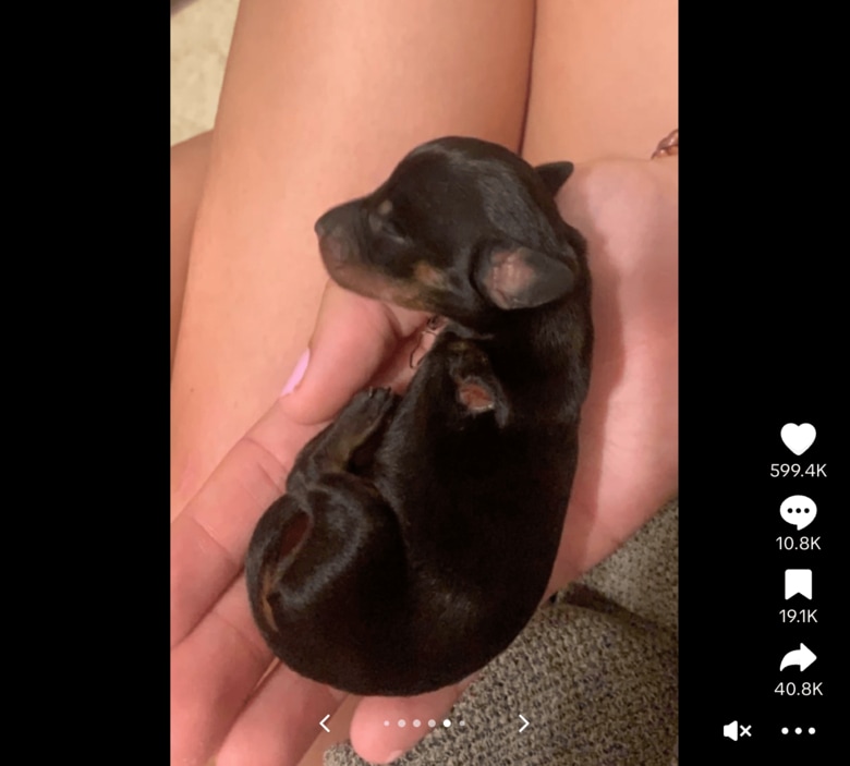 スクリーンショット 2025-09-03 12.14.44.png