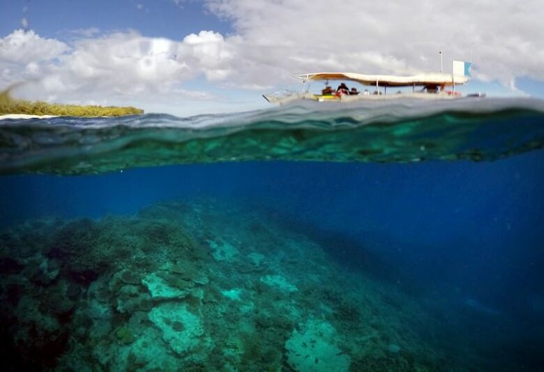 ３月２日、エルニーニョ現象が今月中に緩和されなければ、「グレートバリアリーフ」の一部が永久に破壊される可能性がある、と科学者らが警告した。写真は昨年６月、豪クイーンズランド州のレディー・エリオット島付近で撮影（２０１６年　ロイター／David Gray）