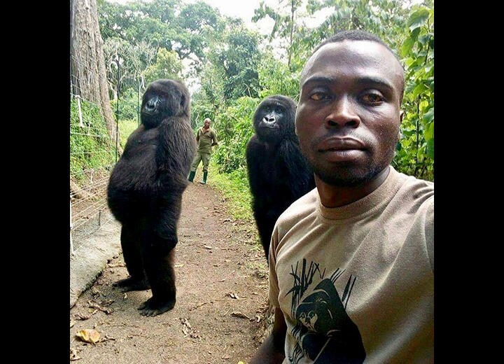 ンダカシを一躍有名にした写真（2019年）　Mathieu Shamavu for www.virunga.org via REUTERS