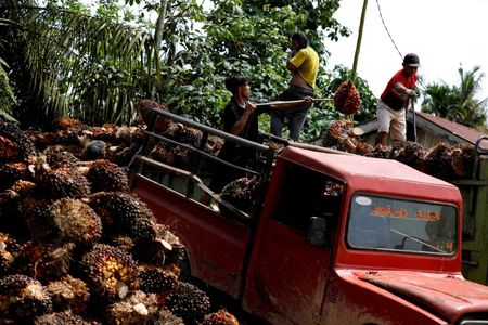 インドネシアのズルキフリ貿易相は２４日、今月末に期限が切れる予定だったパーム油輸出税免除措置を１０月３１日まで延長したと発表した。資料写真、パーム油の原料を積み込む作業員ら。インドネシアのペカンバルで４月撮影（２０２２年　ロイター／Willy Kurniawan）