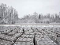 【写真特集】ウクライナ侵攻で顕在化した国境 分断される自然と日常〜ラトビア