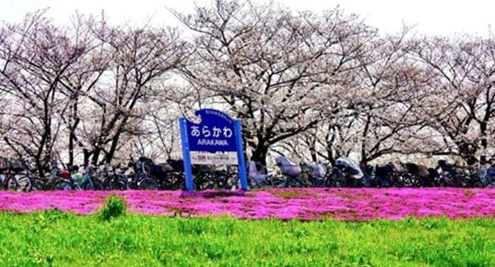 荒川沿岸の景色