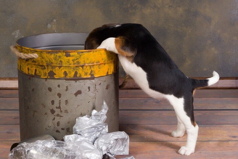 Studio-Annika／iStock