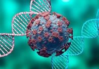 緊急事態宣言は変異株の拡大を抑え込むか?　進化生物学的に危険な｢日本のワクチン接種計画｣のリスク