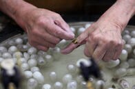 カイコからコロナワクチンも？　栄枯盛衰の「シルク岡谷」で伝統産業の未来に触れる