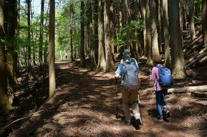 笹子峠越え 甲州街道の歴史が凝縮した「最大の難所」を歩く | ニューズ