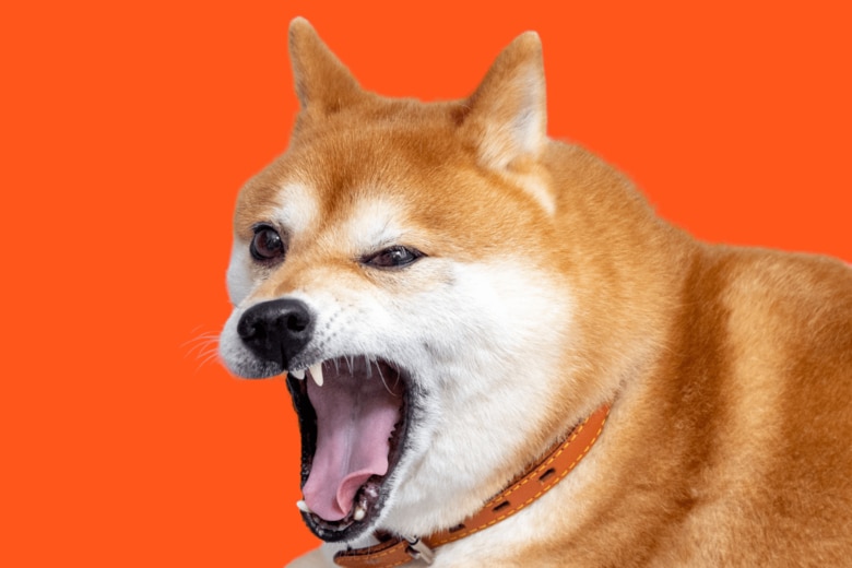（写真はイメージです）　KAT_TAKA-iStock