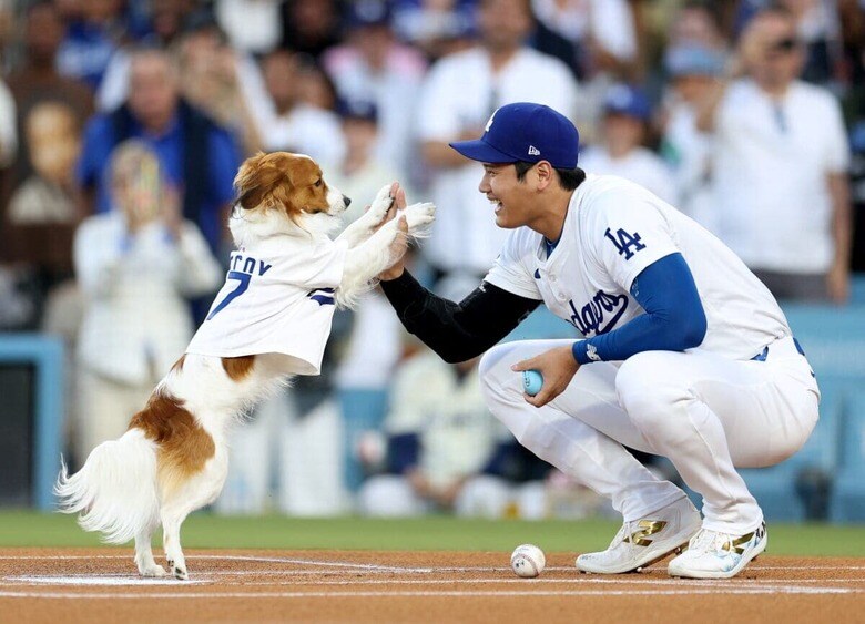 8月28日の始球式に登場したデコピンは大役を果たして大谷とハイタッチ  HARRY HOW/GETTY IMAGES