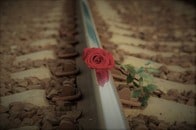 【動画】大型トレーラーに列車が衝突