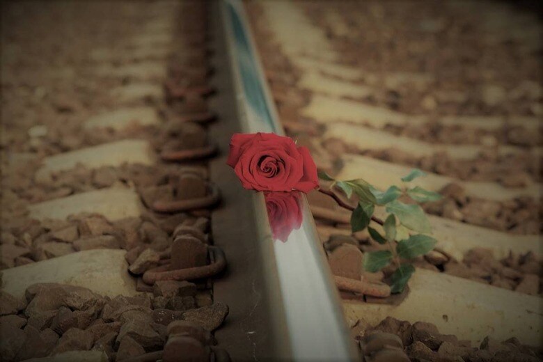 （写真はイメージです）　Galina Sharapova-iStock