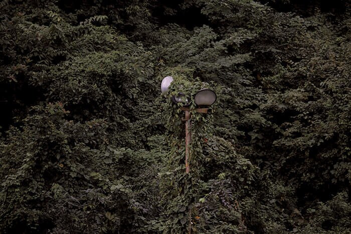 インドとバングラデシュの国境に立てられた照明（24年10月）