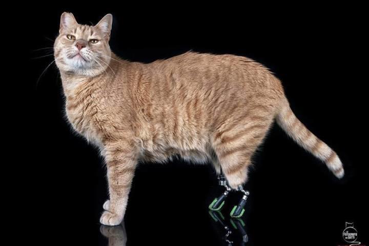 Instagram-@ vituzzosuperstarより