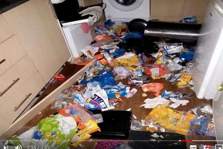 2017年にペットの犬と猫2匹が置き去りにされた部屋　BREAKING NEWS 247-YouTubeより