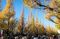 財政負担問題はなぜ誤解され続けるのか