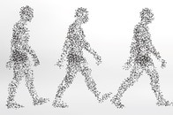 ヒトの直立二足歩行の謎をAI分析で解明　「骨格のプロポーション」が鍵に